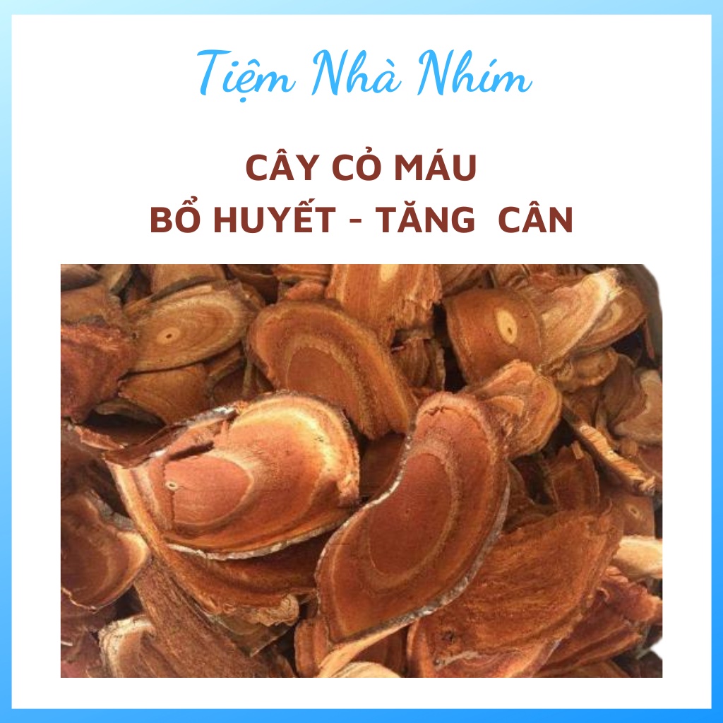 Cây cỏ máu Quảng Bình, bổ huyết, giúp tăng cân, điều hòa kinh nguyệt, loại bỏ chứng đau lưng
