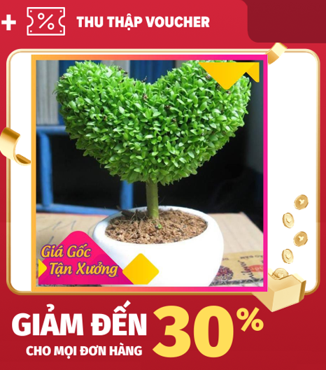 [HCM]Khu Vườn Hạt Giống Cỏ May Mắn .