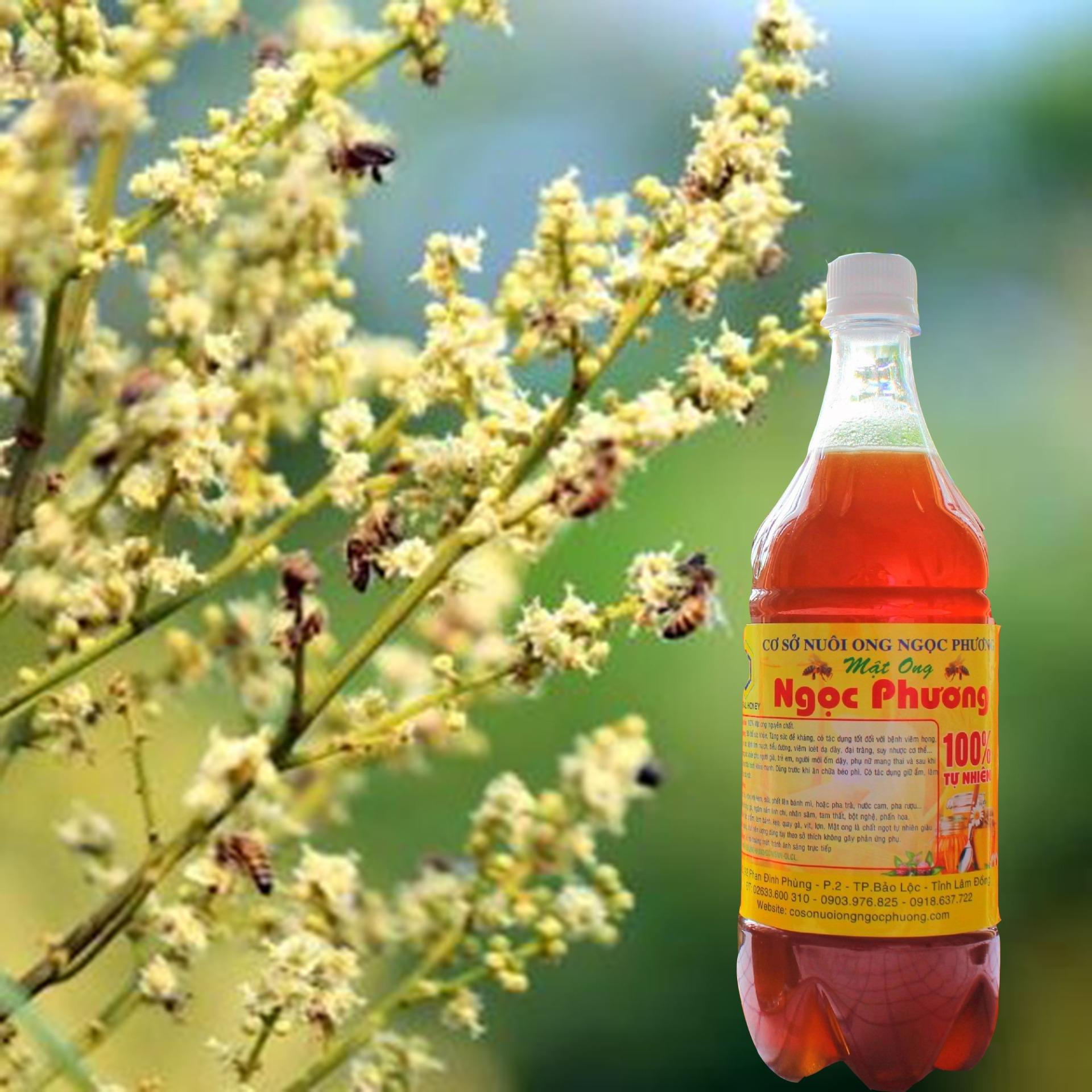 Mật ong hoa nhãn đặc sản b'lao 500ml - cam kết 100% nguyên chất