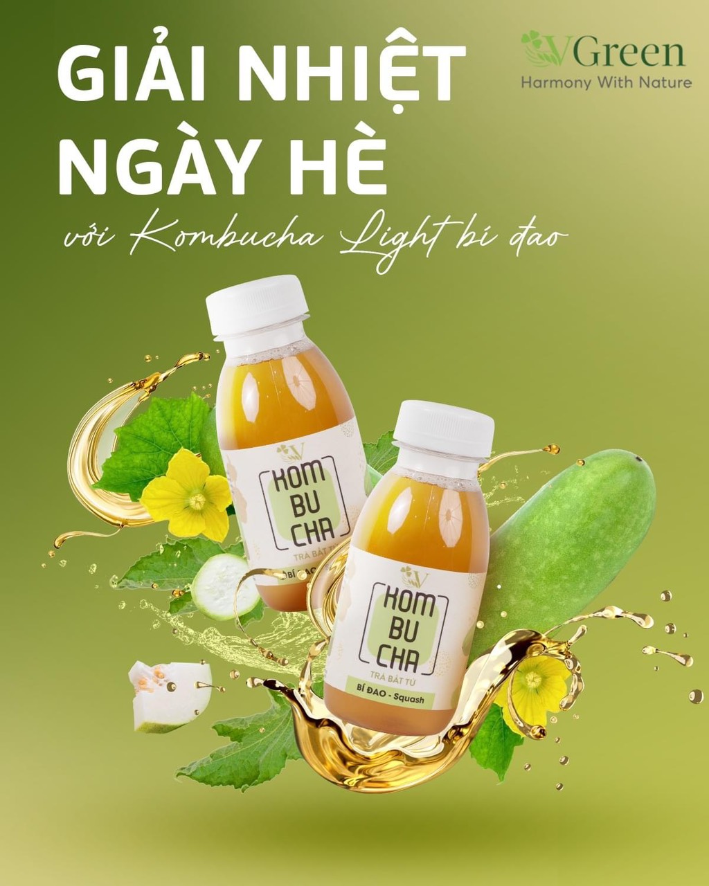 Trà bất tử Kombucha Light 100% lên men tự nhiên, nhiều lợi khuẩn thúc đẩy tiêu hóa, tăng cường đề kháng