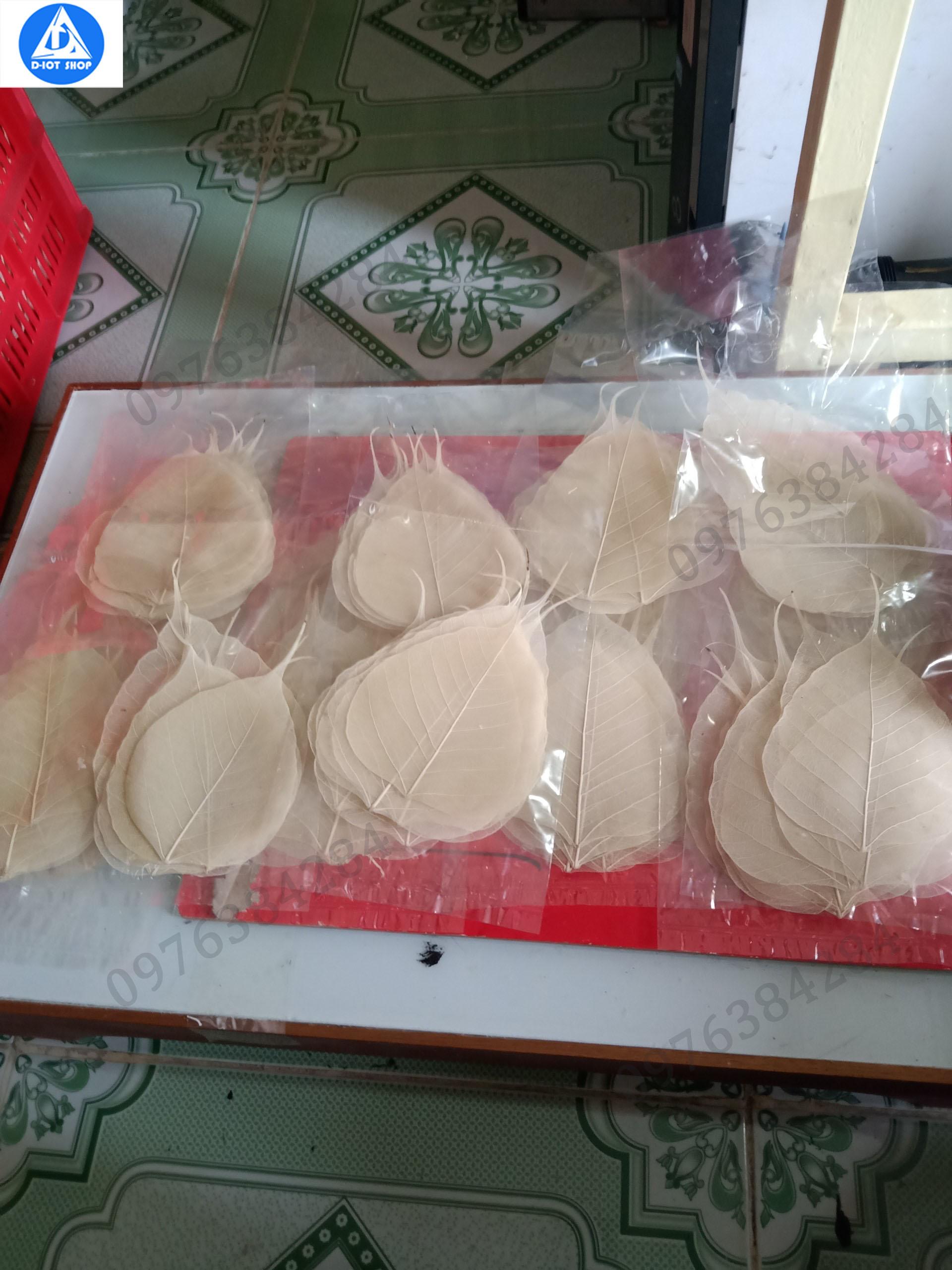 set 20 xương lá bồ đề nguyên bản (tặng 1 cái)