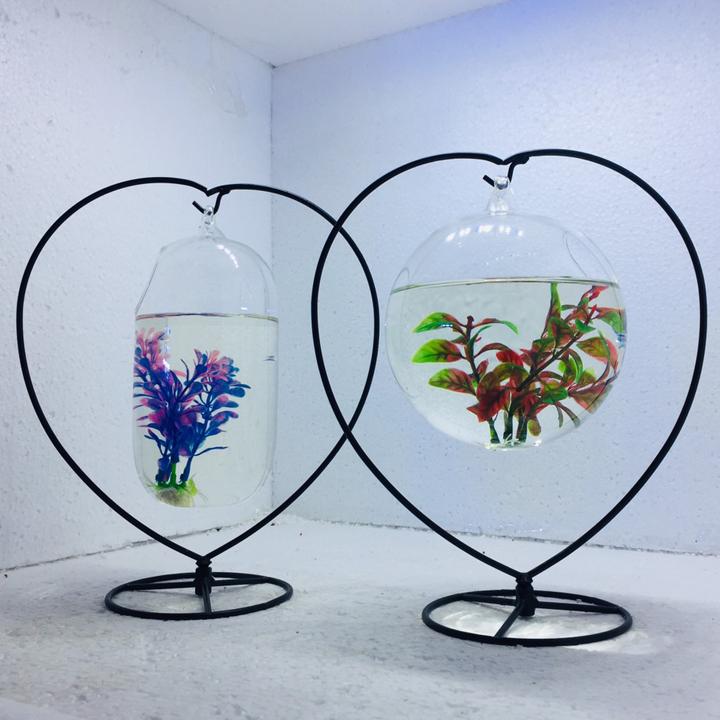 Bể cá mini để bàn combo 2 bể