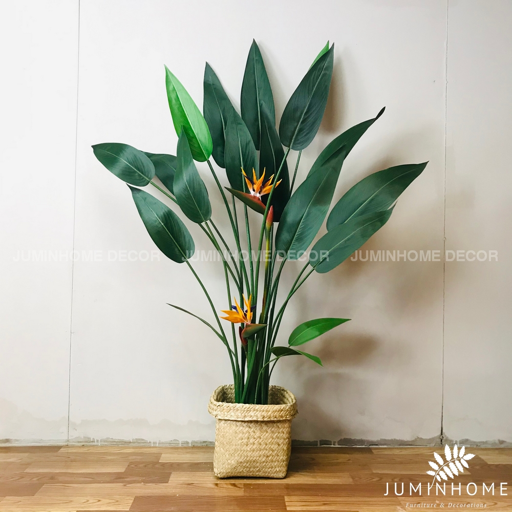 Tổng Hợp Chậu Hoa Thiên Điểu Decor Giá Rẻ, Bán Chạy Tháng 10/2022 - Beecost