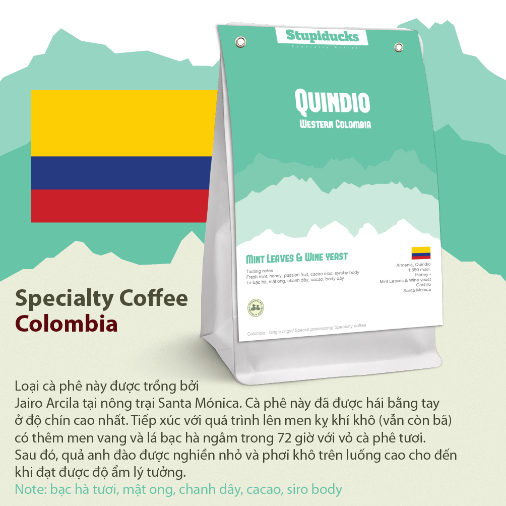 Cà phê Arabica Specialty Colombia Santa Monica Quindio Mint Leaves & Wine- Stupiducks Specialty Coffee