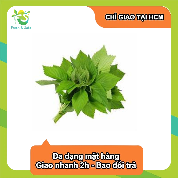 [Chỉ Giao HCM] Rau kinh giới -100g