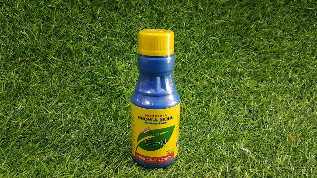 Vitamin B1 grow more phân bón lá cho cây trồng và hoa lan v.v.. Chai 100ml