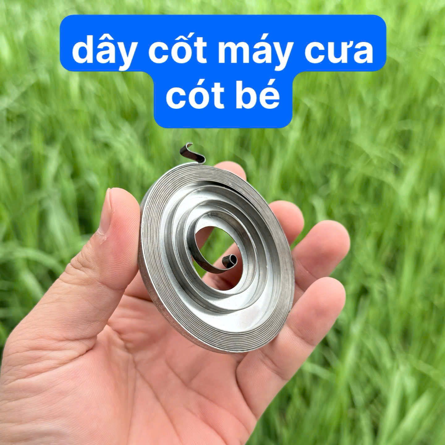 Dây Cót Bé Máy Cưa Cốt Lò So Máy Cưa Cót Bé Cost Lò So Ốp Khởi Động Máy Cưa ( kho 8201)