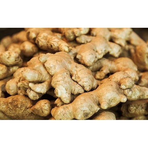 Gừng gió - 1kg