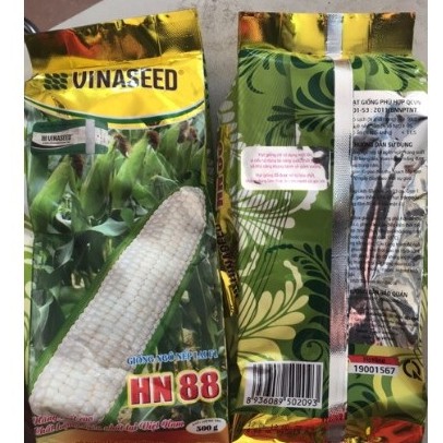 Hạt Giống Bắp Nếp Lai F1 HN88 (500g) - Hạt Giống Ngô Lai F1