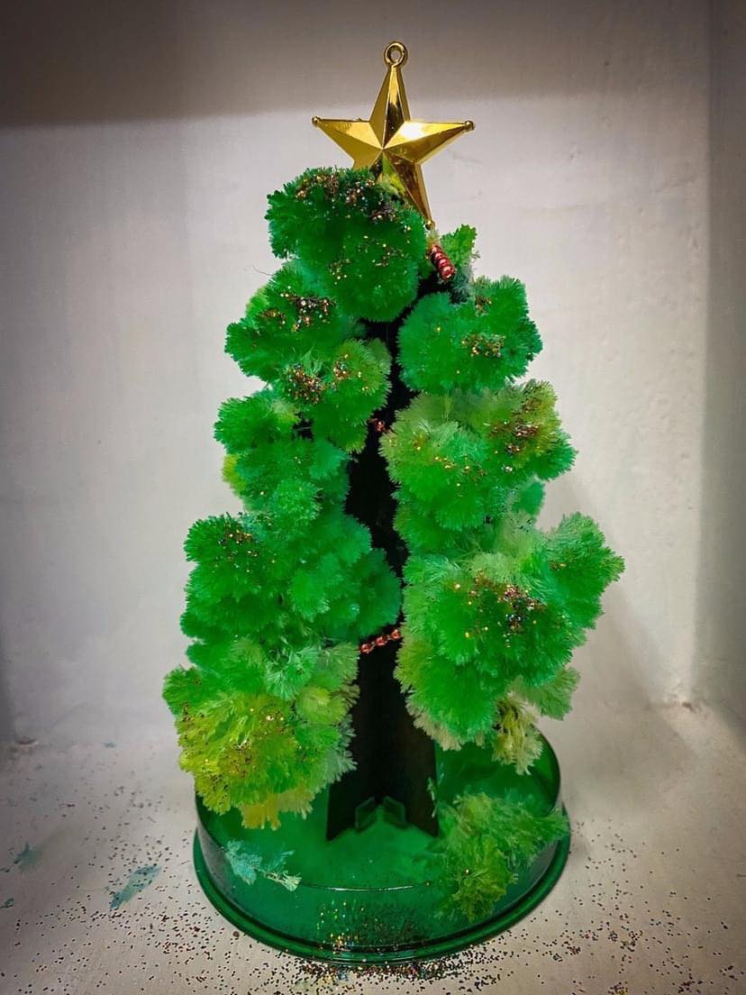 Cây thông thần kì tự nở hoa tuyết - noel 2022