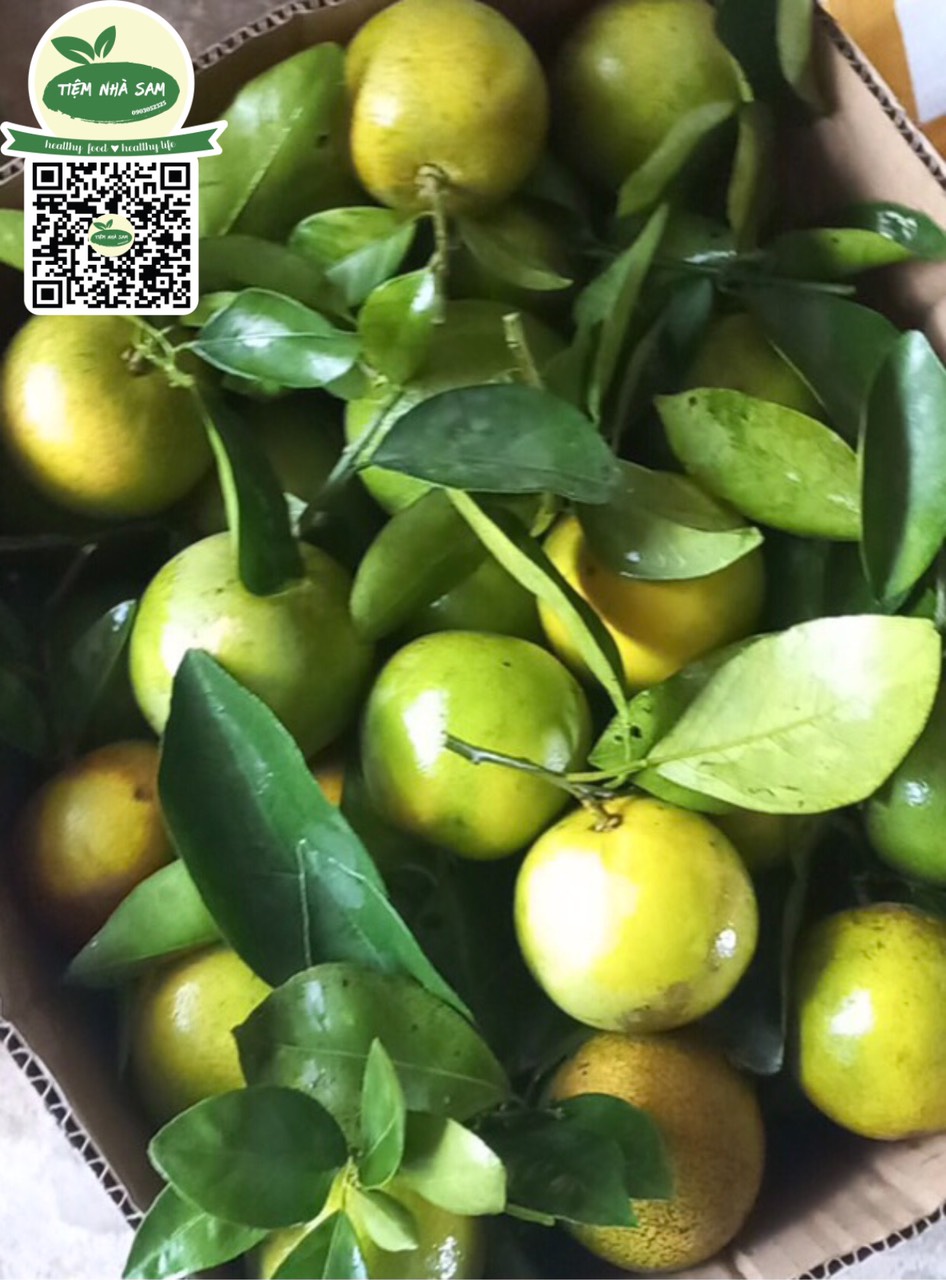 Cam Xoàn Lai Vung hữu cơ