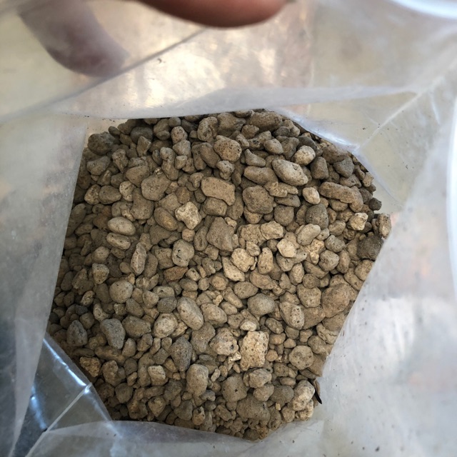 500gr đá pumice
