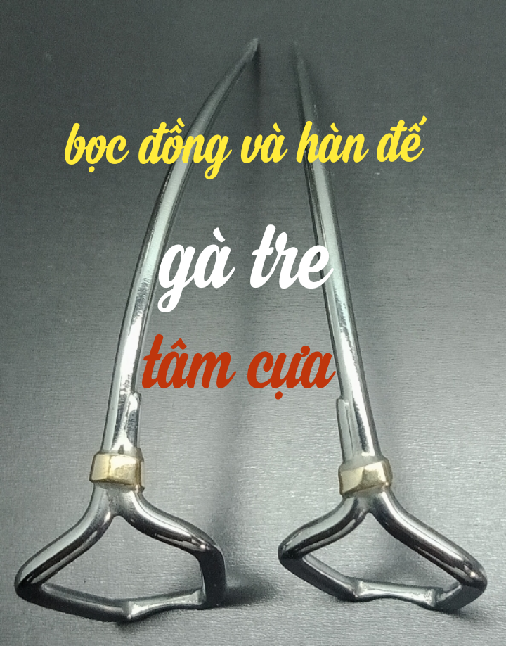 [HCM]cựa gà tre 41 (lai máu) thép mỹ thông mành bọc đồng và hàn đếTâm cựa