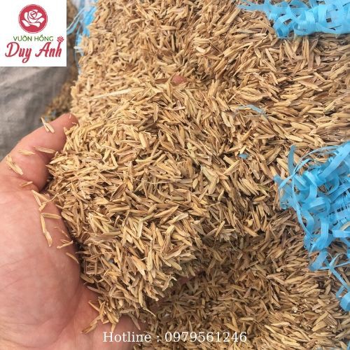 Vỏ Trấu Sống Dùng Trộn Giá Thể Cây Trồng 0.5kg