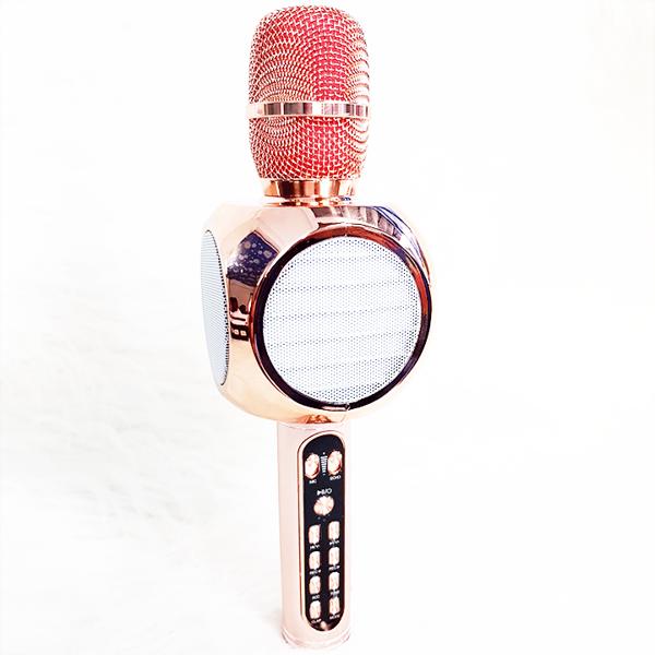 Micro Karaoke Bluetooth YS90 - Micro hát Karaoke không dây kèm loa cao cấp - Chỉnh 5 tone giọng