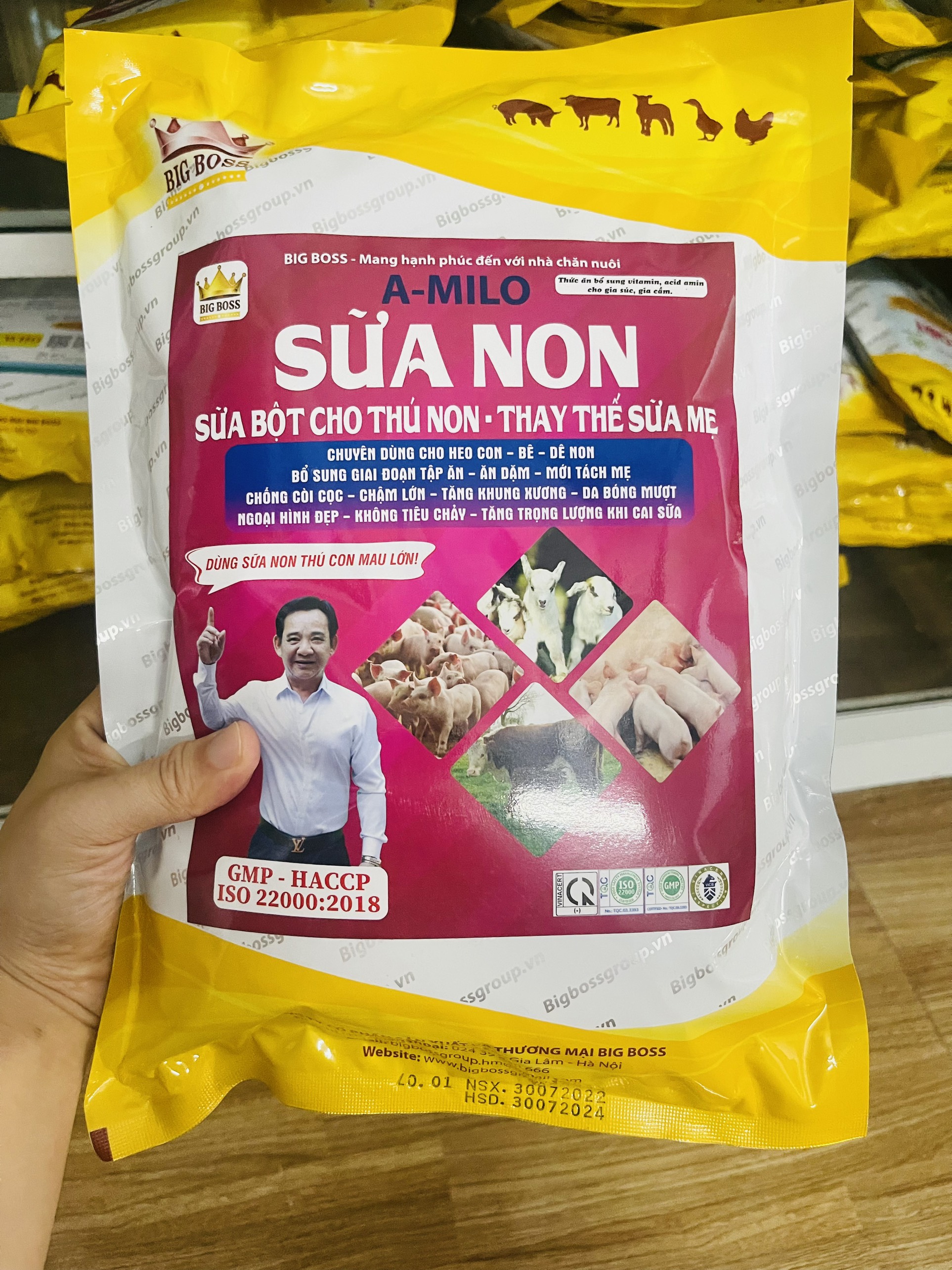 Sữa non cho lợn, trâu, bò, dê