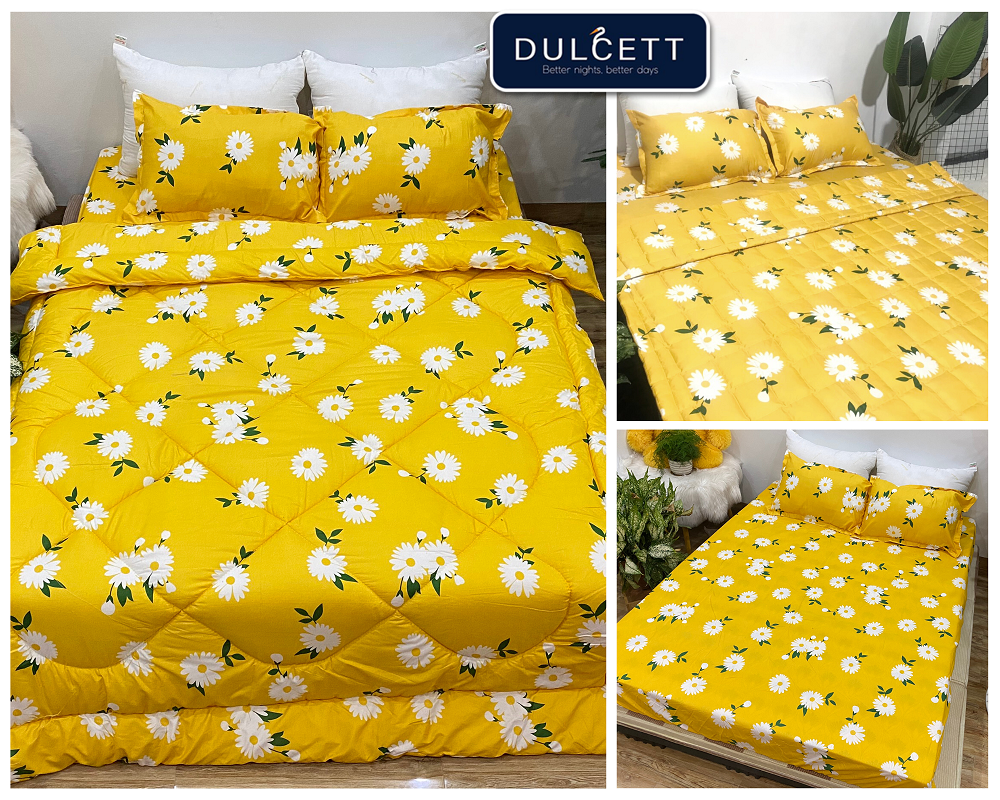 Bộ ga gối 3 món mã ch213