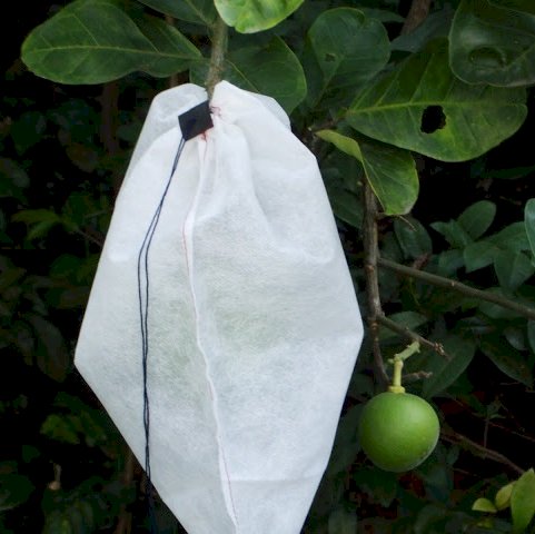 SET 200 TÚI BỌC TRÁI CÂY BƠ, ỔI, XOÀI, NA  TÚI CÓ DÂY RÚT 18x20CM CHẤT LIỆU VẢI KHÔNG DỆT