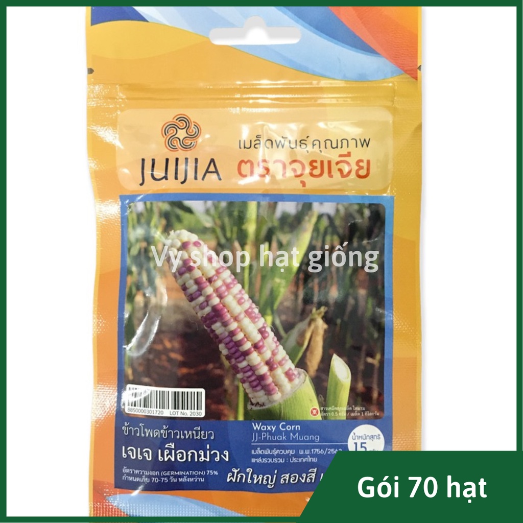 Hạt giống ngô nếp cẩm hồng Thái Lan gói 70 hạt