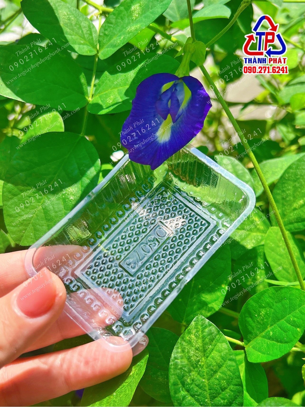 100 Khay đựng bánh dứa 30g-50g - khay nhựa đựng bánh hình trái thơm - trái khóm - bánh dứa