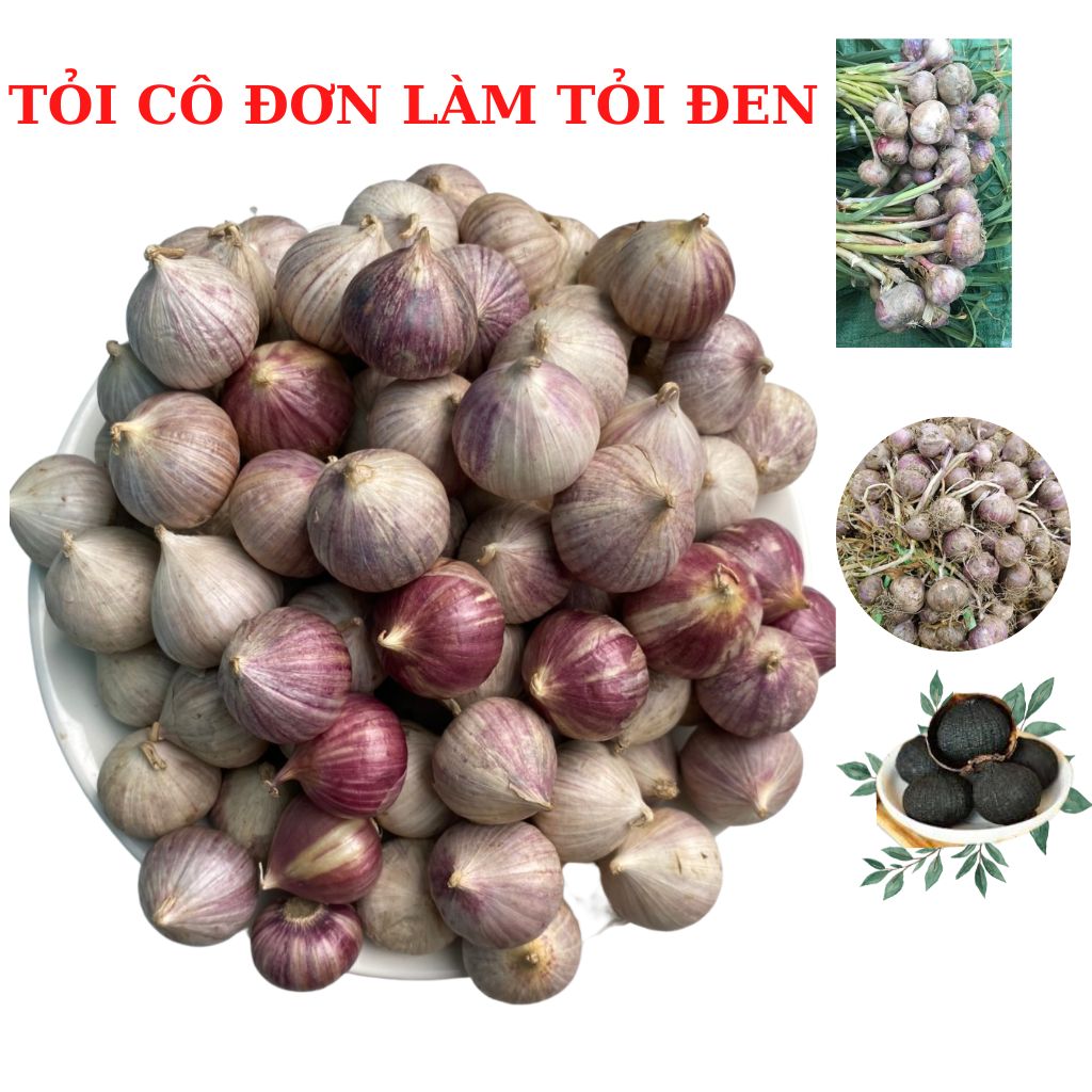 Tỏi đen cô đơn Hải Dương