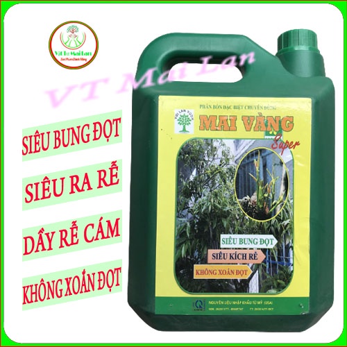 Siêu kích rễ siêu bung đọt cực mạnh mai vàng halo can 5lit