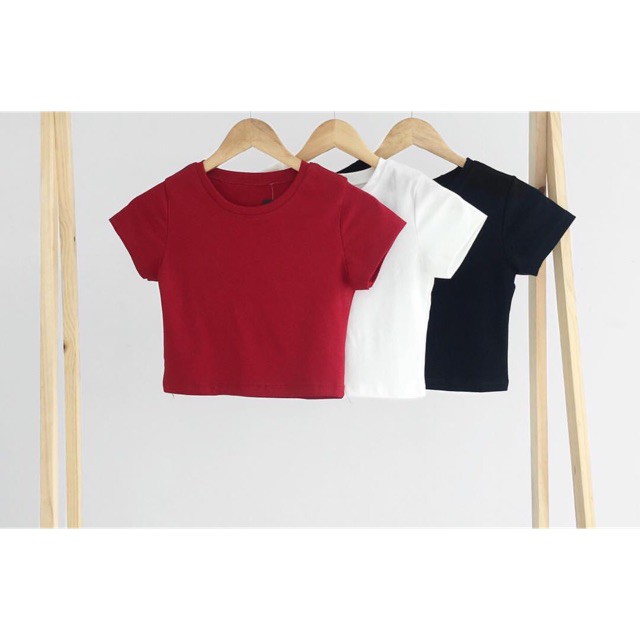 Áo thun crotop cộc tay siêu phẩm