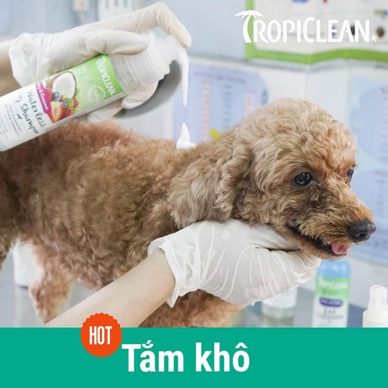 [HCM]Sữa tắm khô cho thú cưng Tropiclean