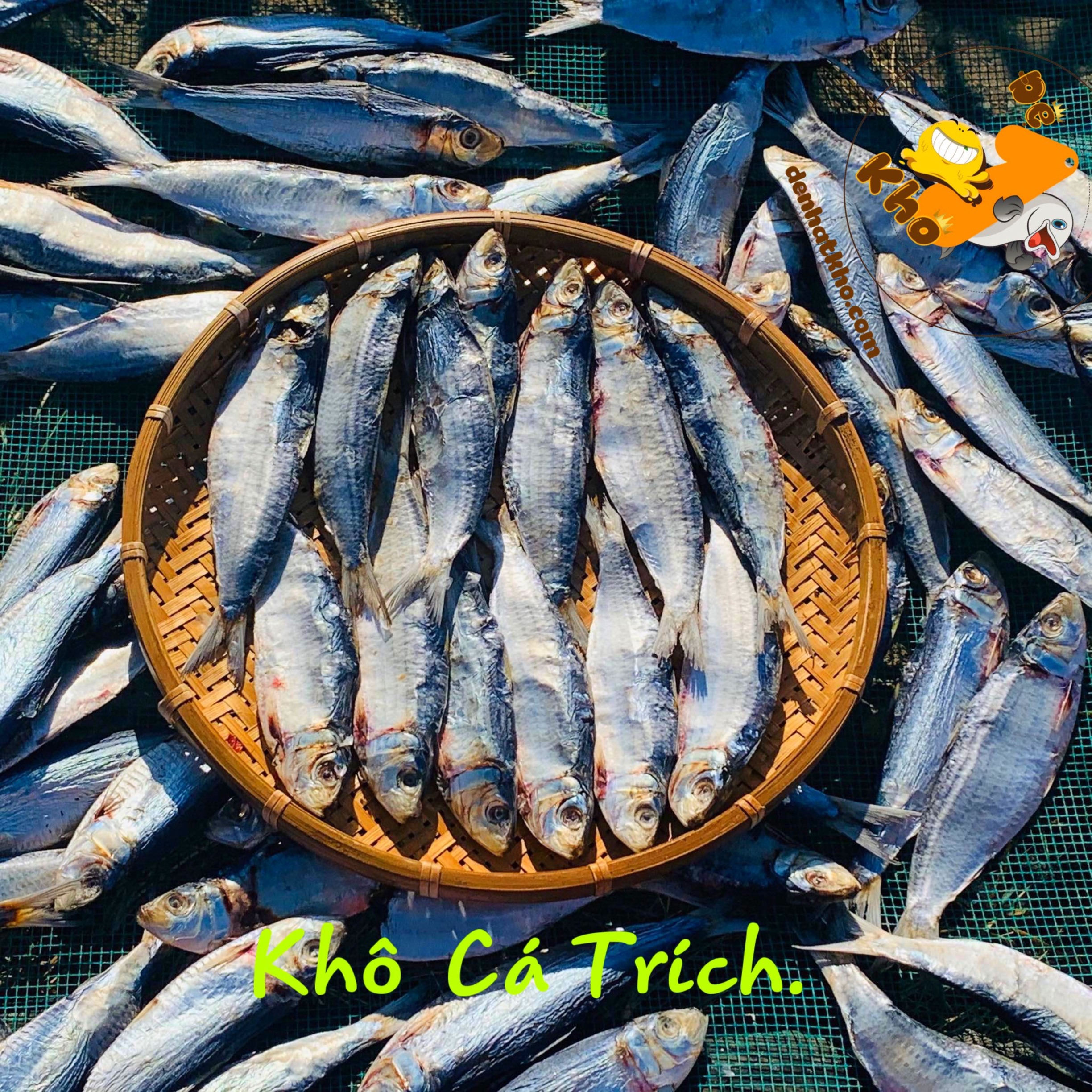Cá Trích Khô 500G Đệ Nhất Khô, Cá Biển Khô Size To, Thịt Cá Dày Săn Chắc Thơm Vị Mặn Nhẹ, Chất Lượng Cao Cấp Chuẩn Xuất Khẩu, Đặc Sản Phan Thiết