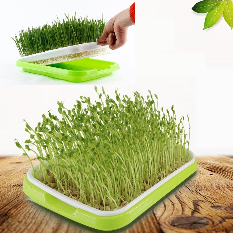 Khay Ươm Rau Mầm, Khay Trồng Giá Thông Minh (KUM-001)