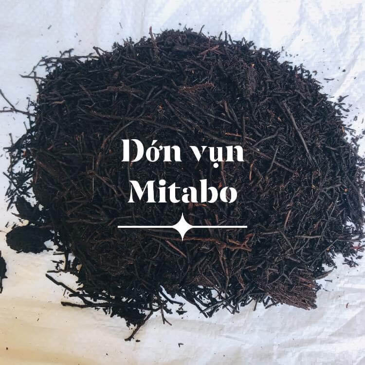 Dớn trồng lan giá thể trồng lan dớn vụn thoáng giữ ẩm tốt ít mục 1kg