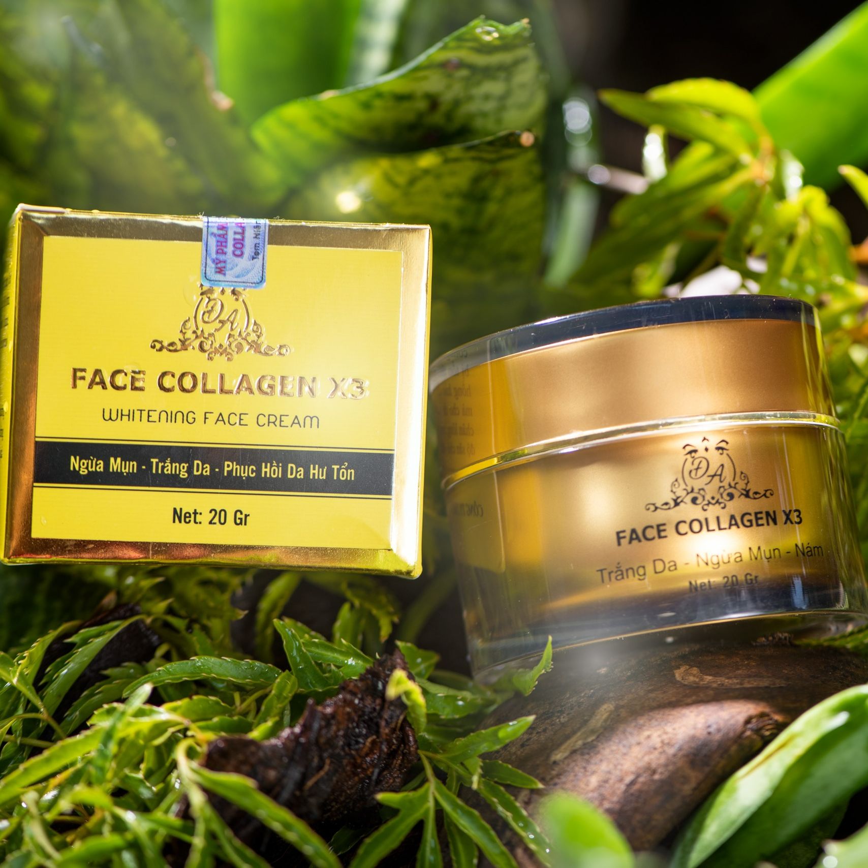 [KÈM QUÀ TẶNG] KEM FACE COLLAGEN X3 ĐÔNG ANH