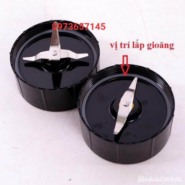 Bán lẻ Ron- zoong - Gioăng cao su bản đơn lắp dao đế nhựa 4 chấu máy xay đa năng Magic, kangaroo, Sunhouse ...