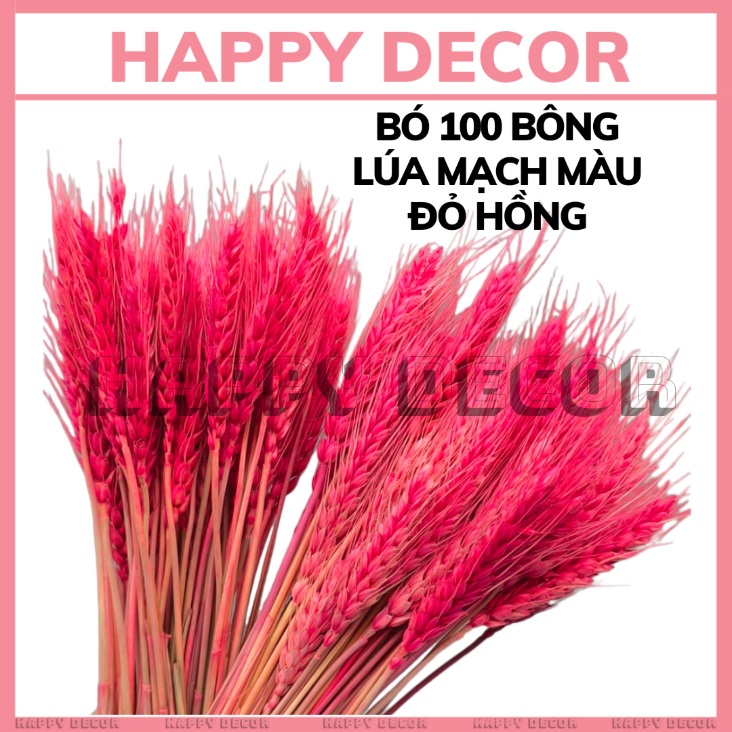Bó Bông lúa mạch màu đỏ hồng