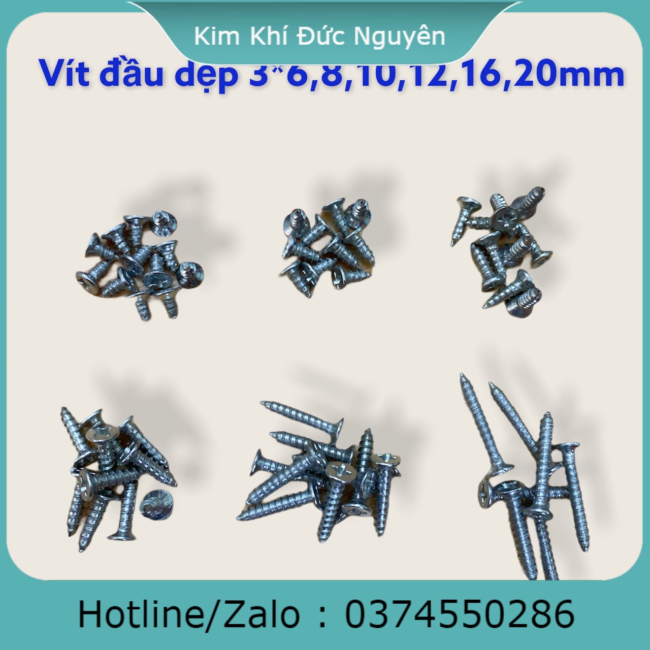 Vít đầu dẹp 38mm 312mm 320mm 500g