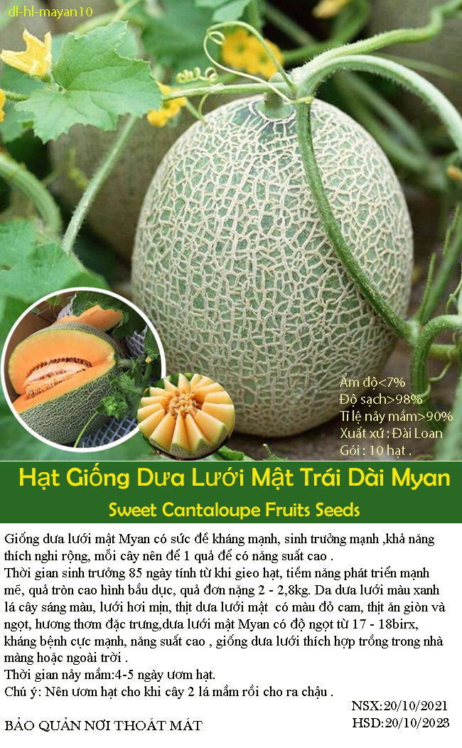 [HCM]Gói 10 hạt dưa lưới mật trái dài vân xanh thơm ngon chịu nhiệt dễ trồng