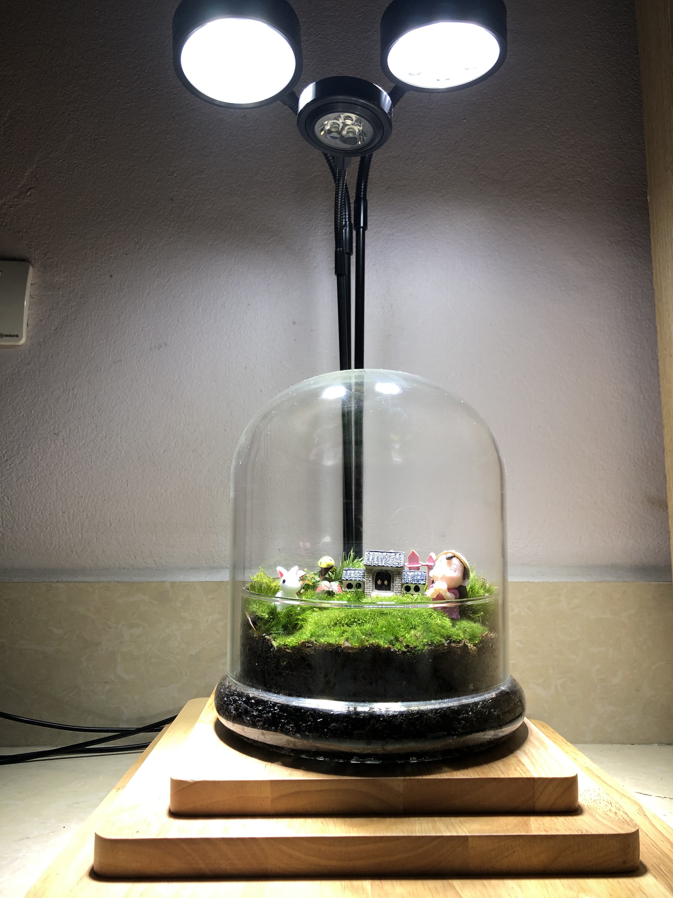 { Tặng kèm 04 miếng dán chân đế } Đèn đế gỗ dùng cho Thủy sinh, bán cạn, tiểu cảnh Terrarium Nhiệt độ màu Kelvins (K): 6000-6500K