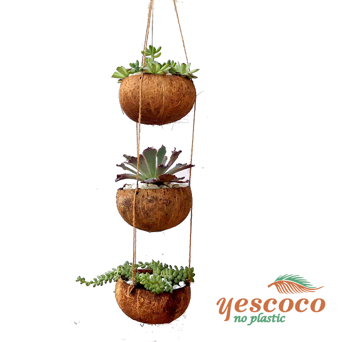 Bộ Chậu trồng hoa Tết Gáo Dừa Treo 3 tầng YESCOCO XƯỞNG SX