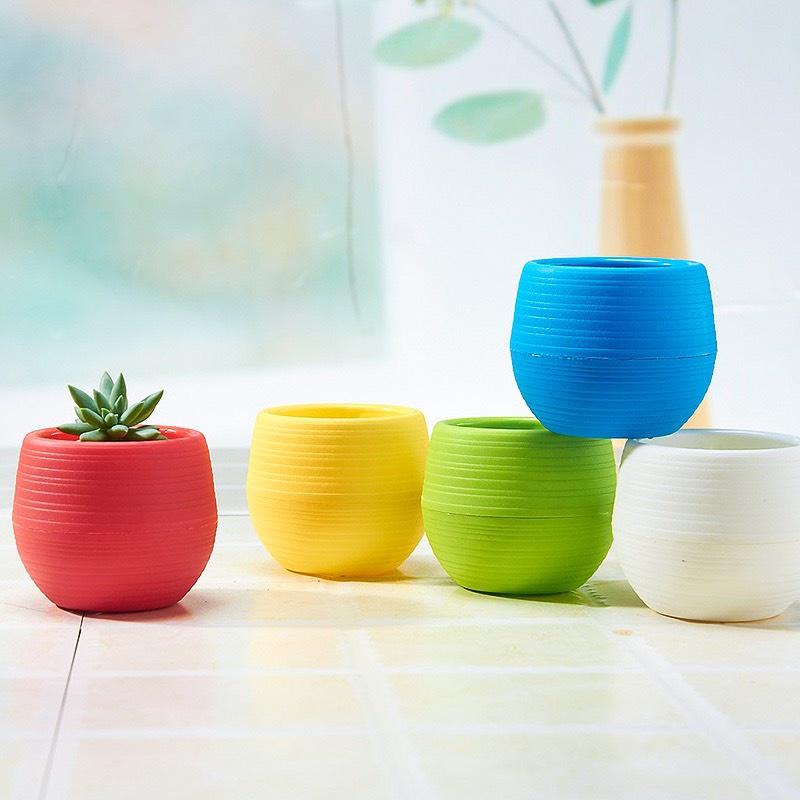 Combo 5 chậu trồng sen đá, xương rồng mini màu ngẫu nhiên