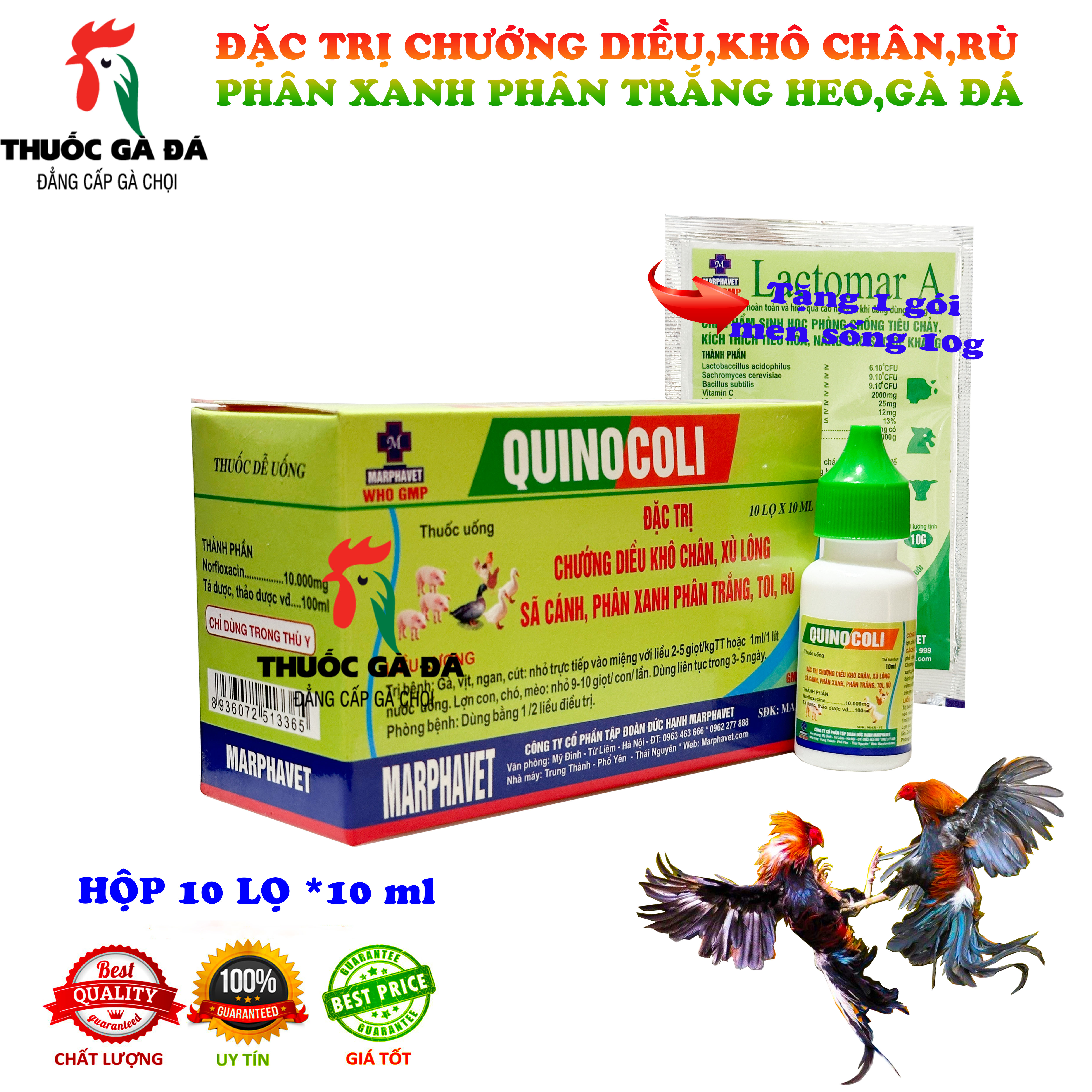 Toi rù gà đá,phân xanh phân trắng trên gia súc gia cầm.hộp 10 lọ