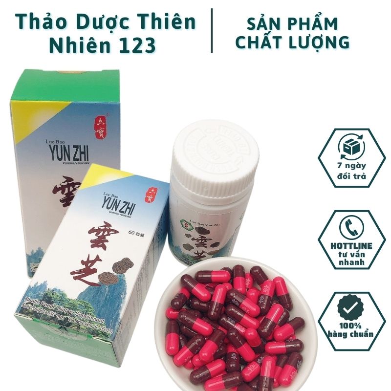 FREESHIP_Lục Bảo Vân Chi 60 Viên - Cải Thiện