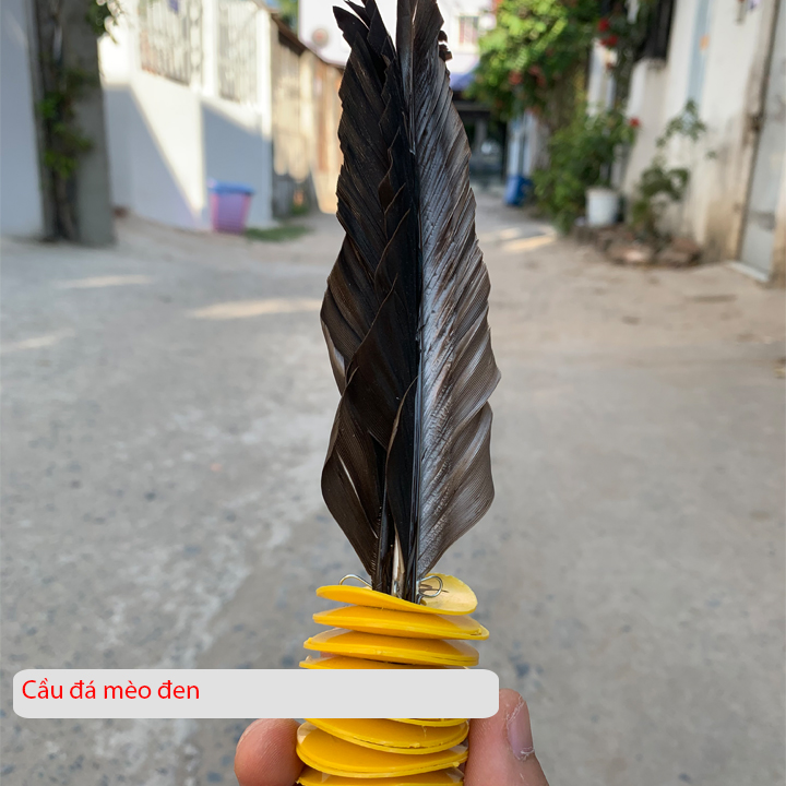 Cầu đá lông gà hàng tuyển Hữu Nghị HT50