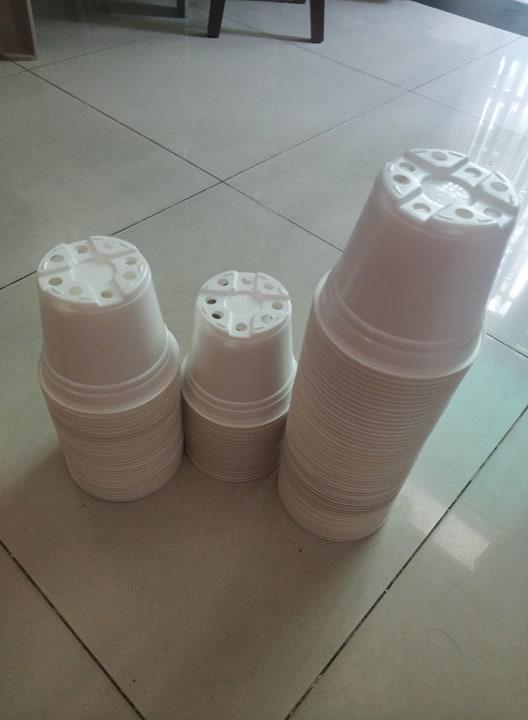 20 cái Chậu nhựa trắng size 10cm trồng rau củ quả