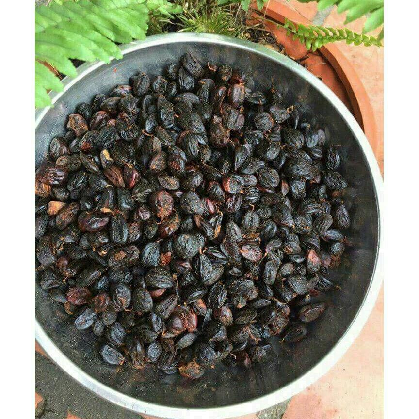 500g hạt dổi rừng
