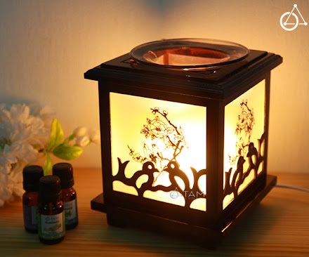 Đèn Xông Tinh Dầu Chất Liệu Gỗ Sồi Cao Cấp Mẫu mã đẹp Bảo Hành 3 Năm