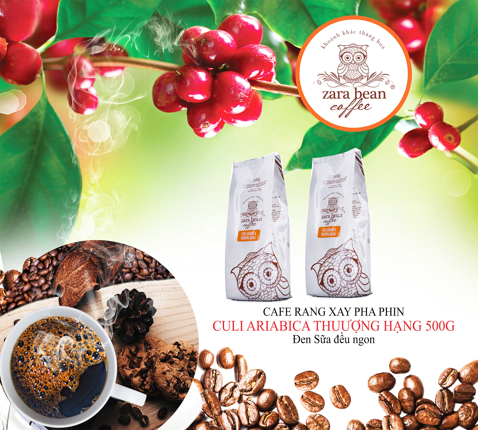 Combo 2 gói cà phê pha phin culi arabica đặc biệt