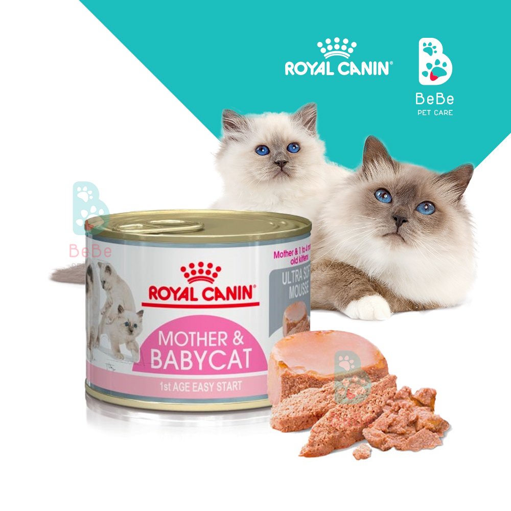 Pate royal canin mother & baby cat cho mèo mẹ & mèo con 195gr