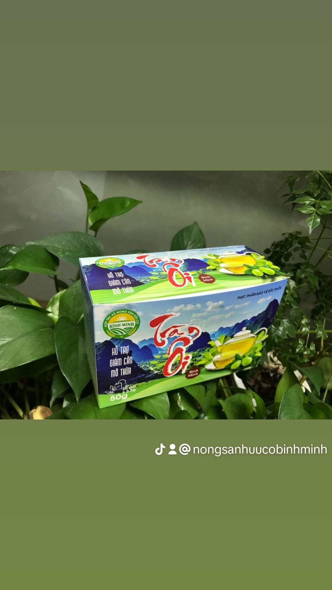 TRÀ ỔI trà túi lọc