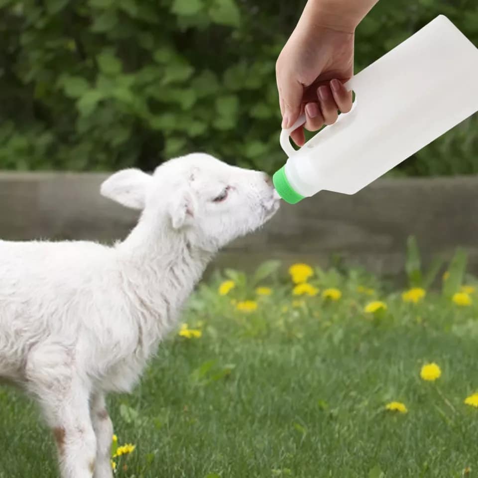 BÌNH CHO DÊ CON BÚ CẦM TAY- RUVET VIỆT NAM - DỤNG CỤ THÚ Y - THUỐC THÚ Y