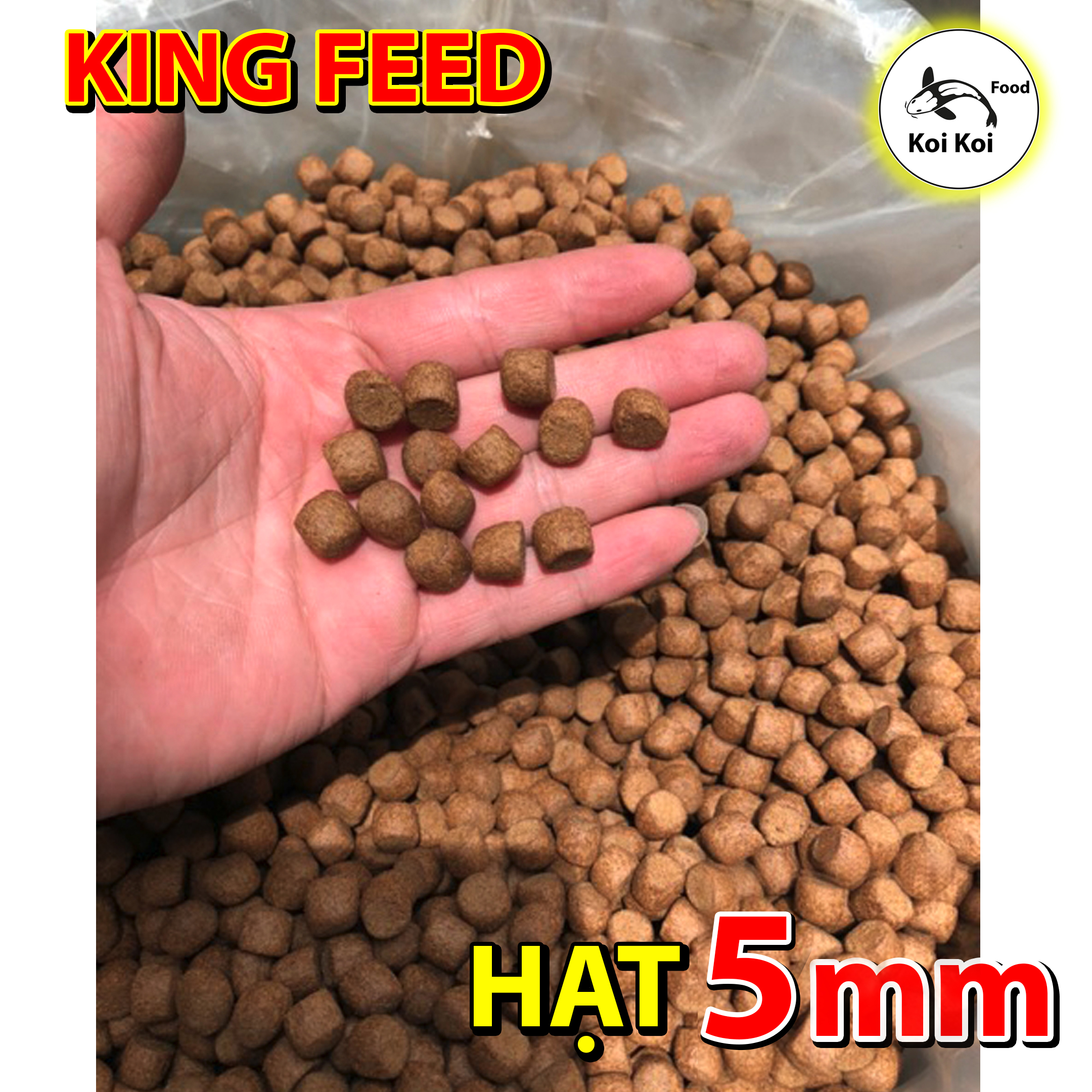 Thức ăn cho cá koi trưởng thành king feed